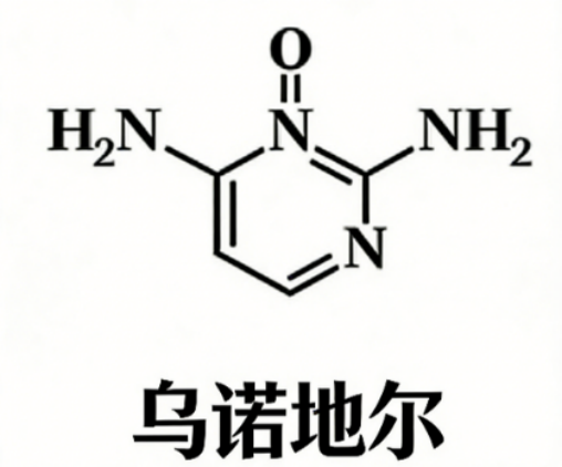 乌诺地尔、酮康唑、咖啡因……这些“防脱成分”到底哪个有用？